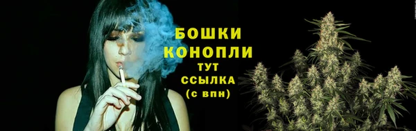 бошки Вязьма