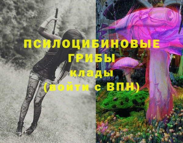 гашиш Вяземский