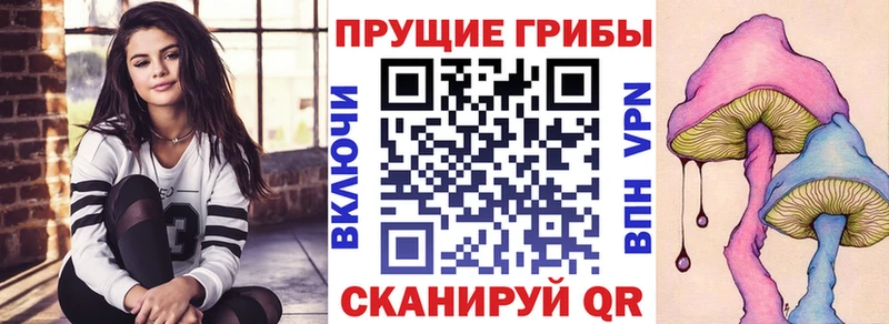 Купить закладки  Псков  Галлюциногенные грибы Cubensis 